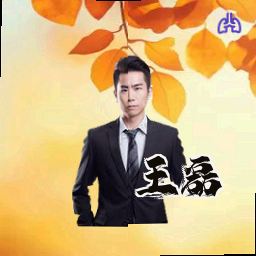 王磊